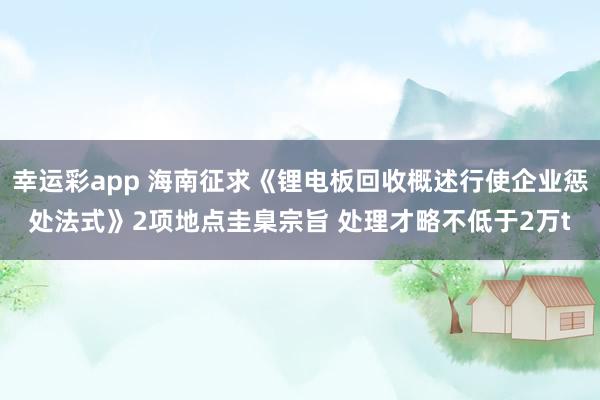 幸运彩app 海南征求《锂电板回收概述行使企业惩处法式》2项地点圭臬宗旨 处理才略不低于2万t