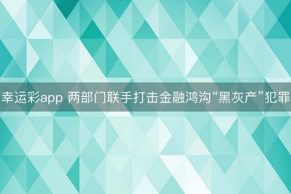幸运彩app 两部门联手打击金融鸿沟“黑灰产”犯罪