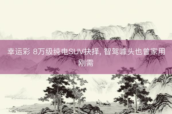 幸运彩 8万级纯电SUV抉择, 智驾噱头也曾家用刚需